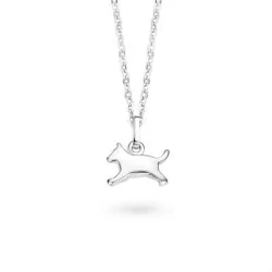 Collier Naiomy Princess, Chien